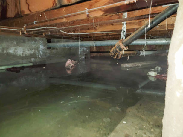 Best Water damage restoration cost  in Helena West Helena, AR