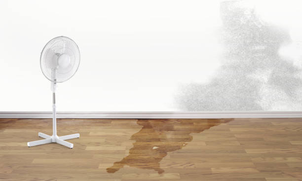 Best Flood restoration services  in Helena West Helena, AR