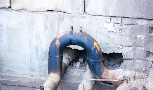 Best Mold removal after water damage  in Helena West Helena, AR